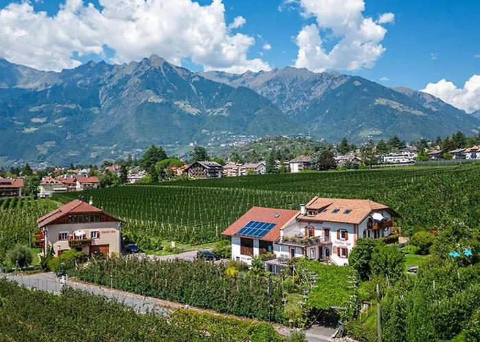Apartment Stoeckerhof Blume